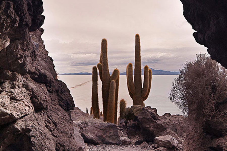 UYUNI SALT FLAT PRIVATE 3 DAY/2 NIGHT EXPEDITION TOUR