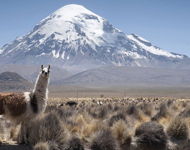 SAJAMA NATIONAL PARK 2 DAY