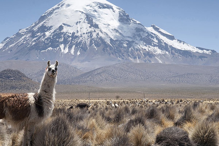 SAJAMA NATIONAL PARK 2 DAY