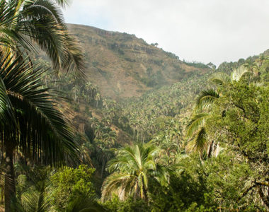 EL PALMAR NATURAL AREA SUCRE BOLIVIA