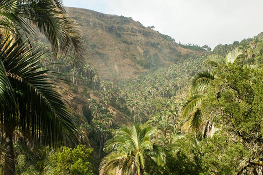 EL PALMAR NATURAL AREA SUCRE BOLIVIA