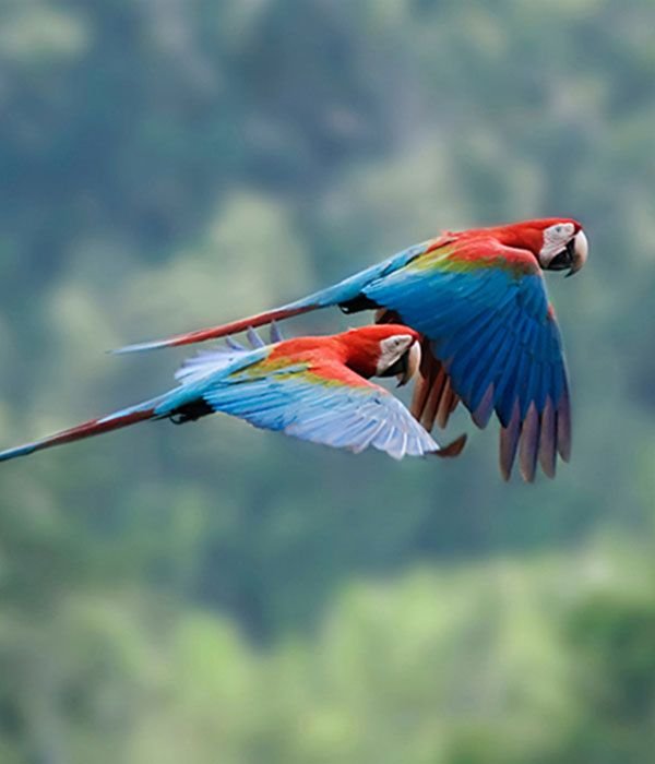 amazon-pampas-itinerary-day-4