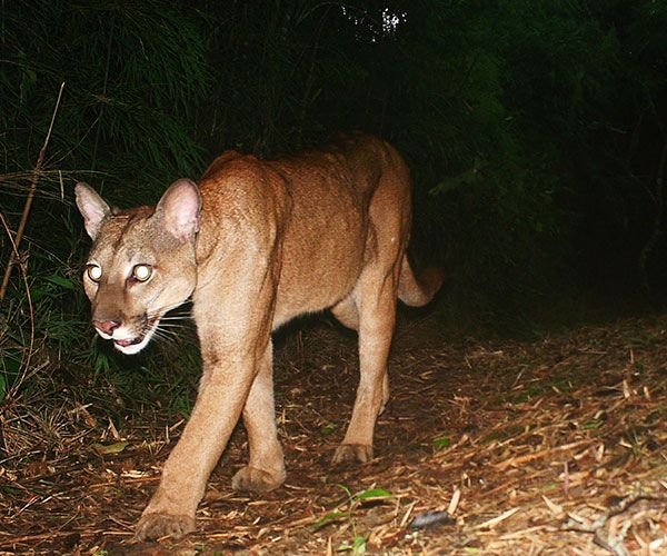 amboro-samaipata-itinerary-night-1