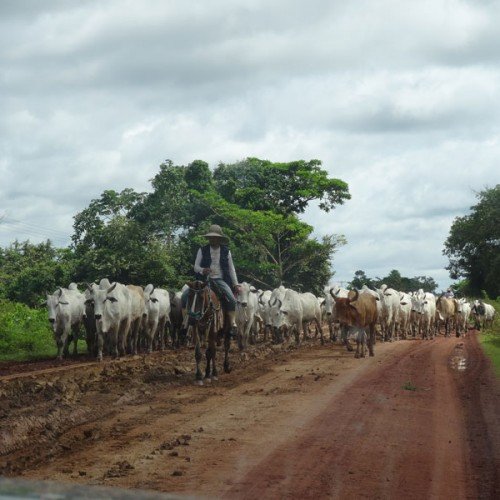 gal-sancarlos-044-500x500