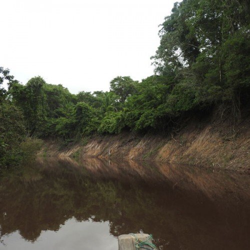 gal-sancarlos-05-500x500