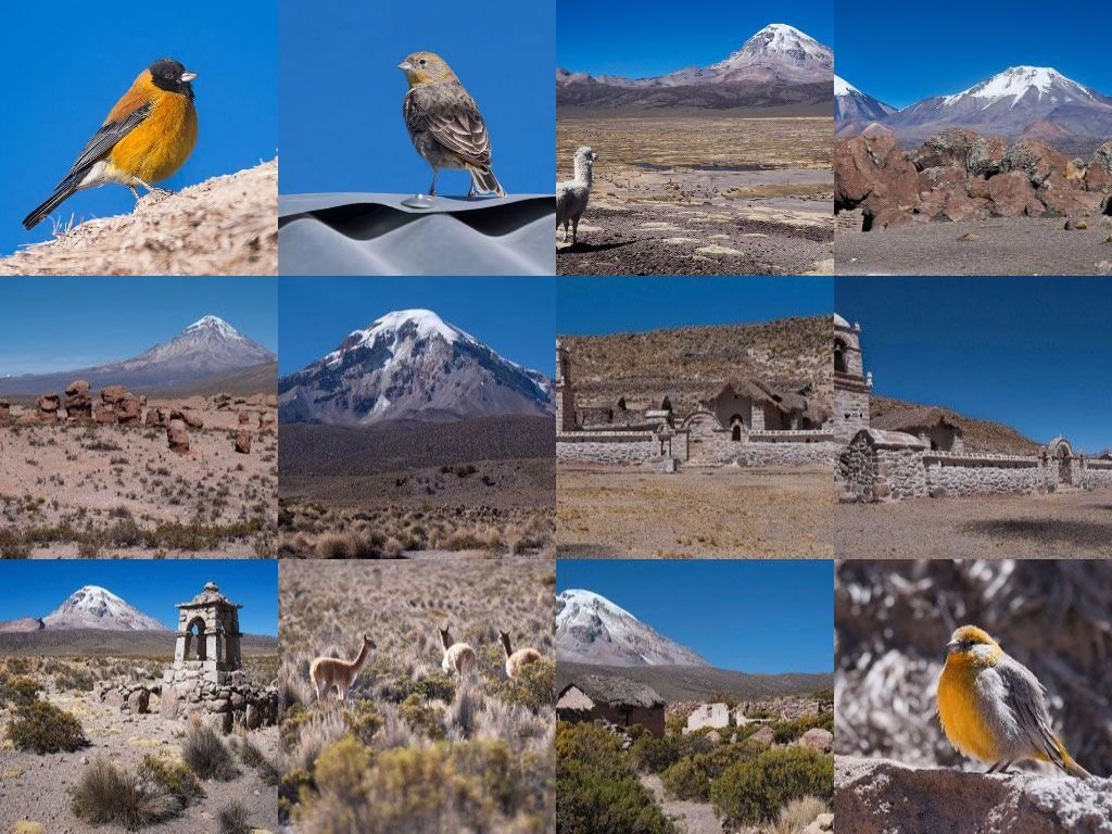 sajama-expe-0000